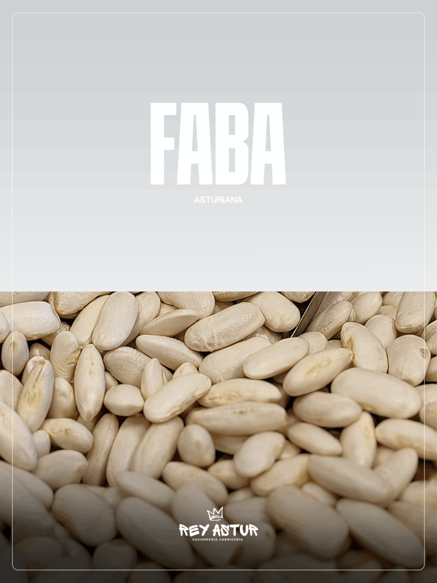 Faba Asturiana